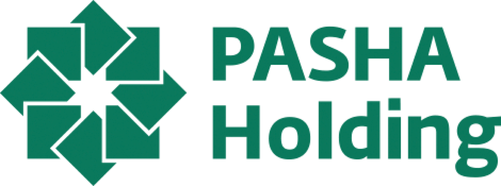 PashaHolding
